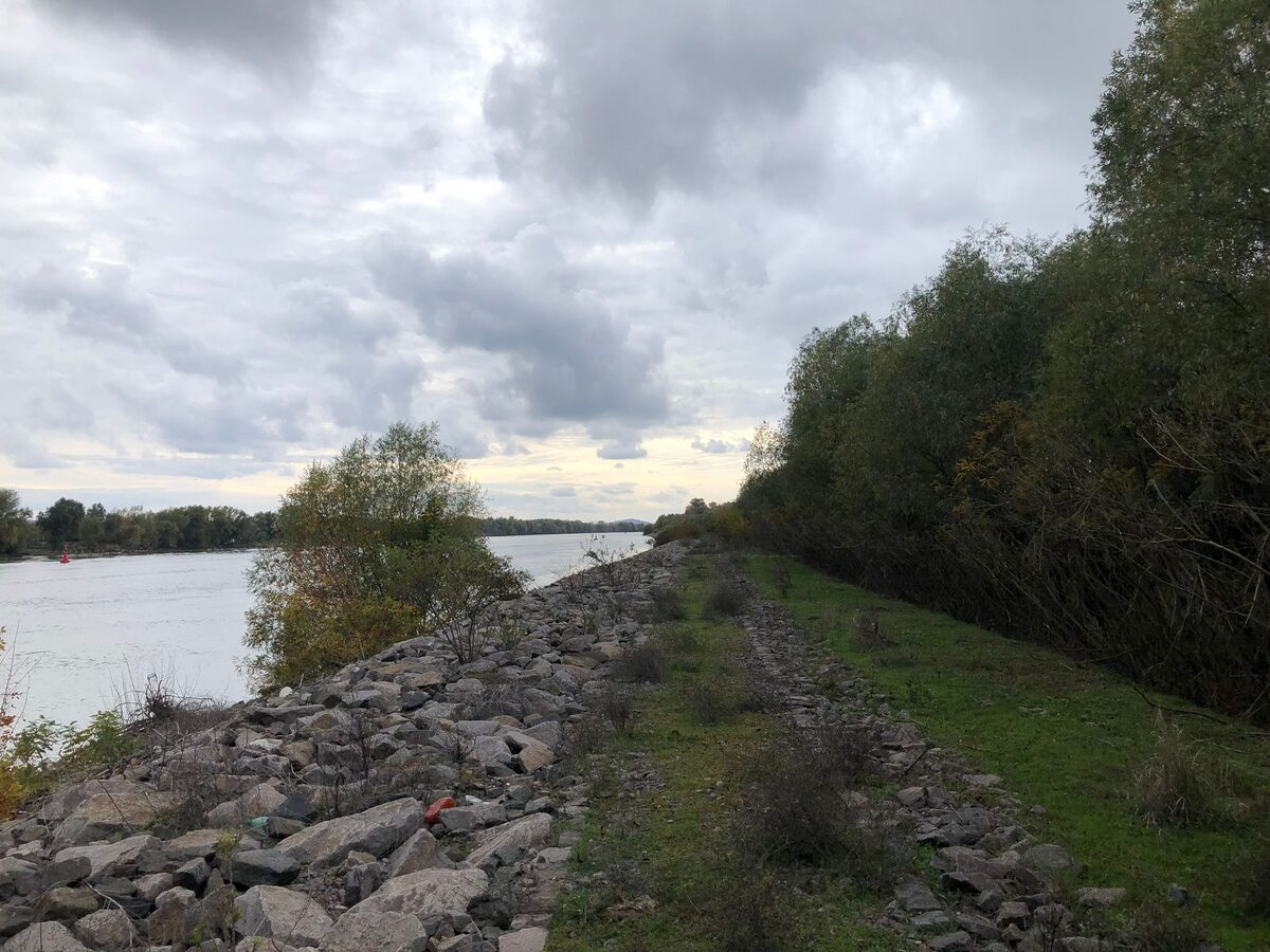 Mal și apă pe brațul Sulina, în Delta Dunării